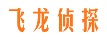 临潭市婚姻调查